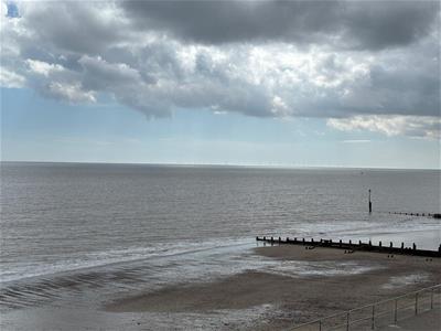 Picture 24